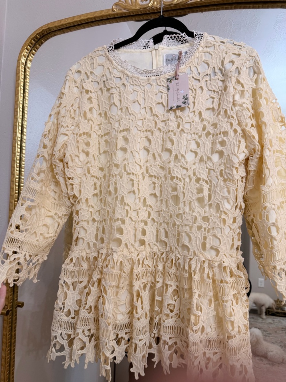 Dainty Jewells Cream Crochet Lace Top with Pink Ribbon Detail - Picture 3 of 4